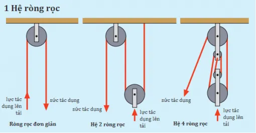 Hệ ròng rọc