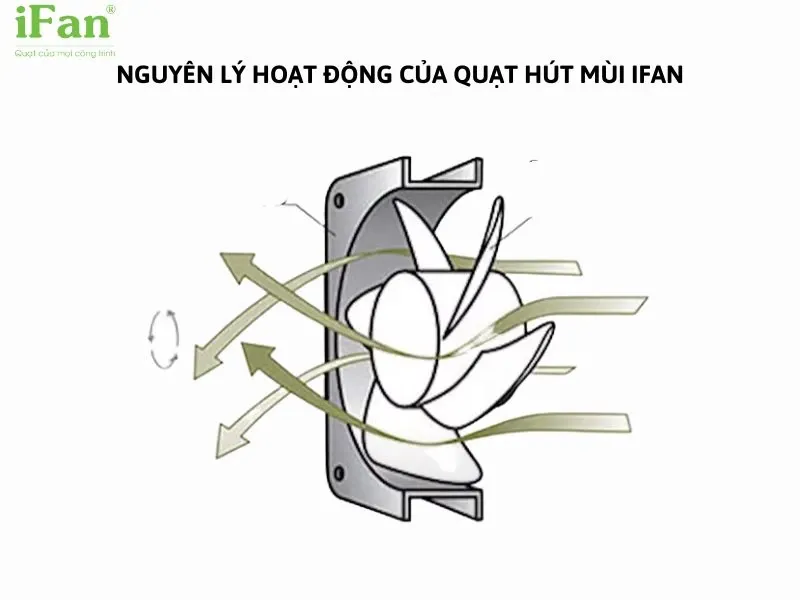 Nguyên lý hoạt động của quạt hút khói bếp iFan