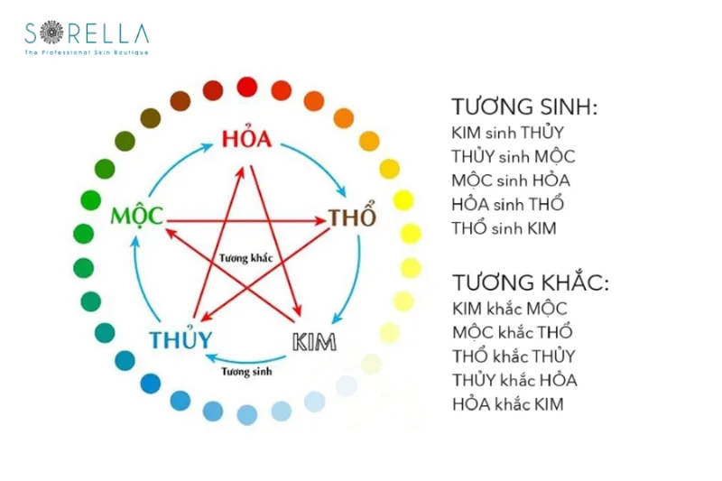 tm2 a97d6eac