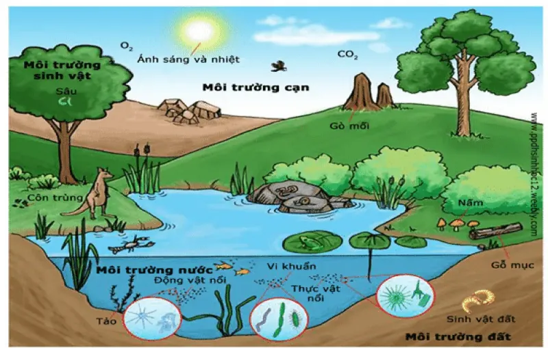 Ảnh hưởng của không khí