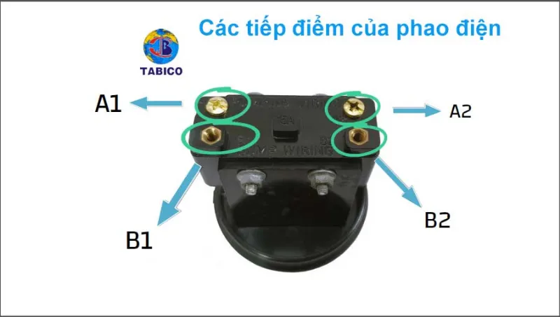 Các tiếp điểm A1 A2 B1 B2