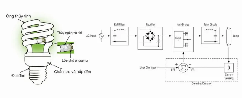 cấu tạo bóng đèn compact