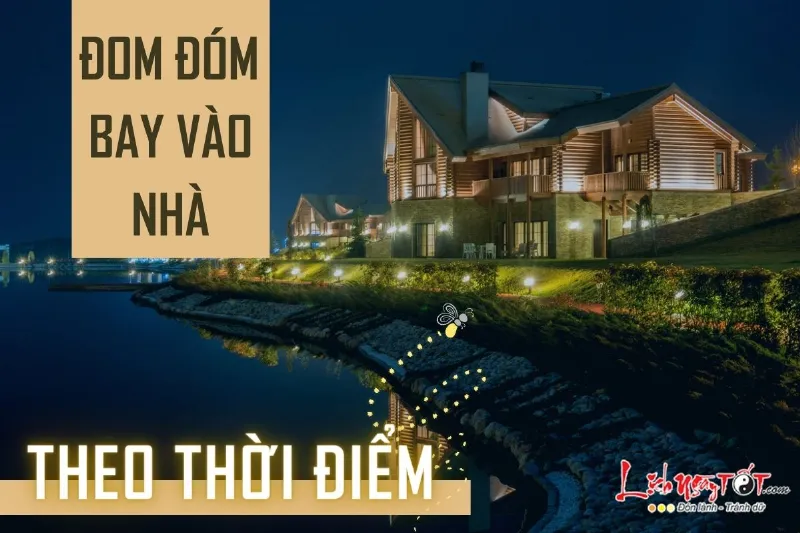 Đom đóm bay vào nhà theo thời điểm