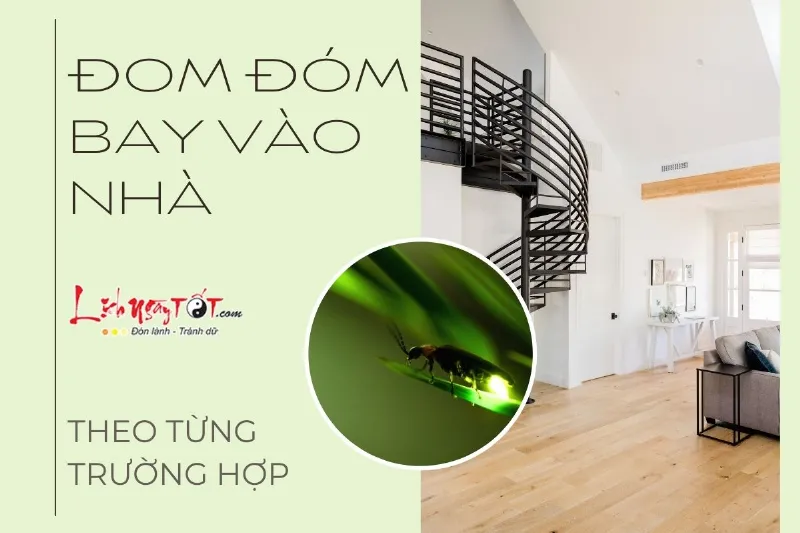 Đom đóm bay vào nhà theo từng trường hợp