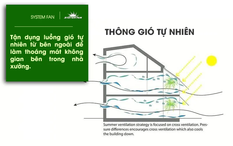 lam mat nha xuong bang thong gio tu nhien a6b1da7c 1