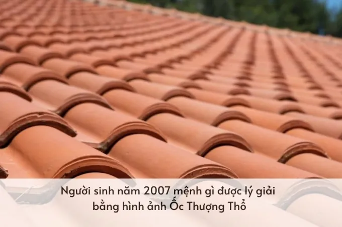 2007 tuổi gì