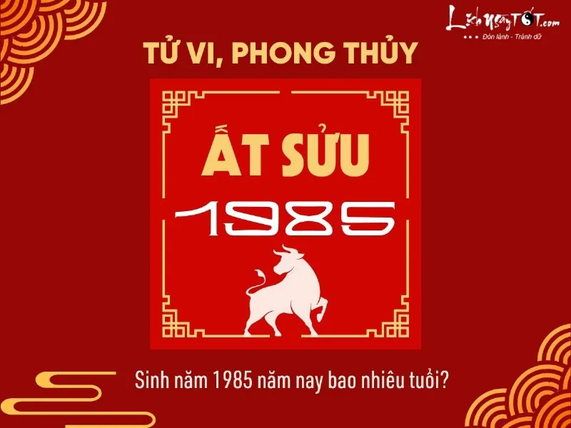 Sinh nam 1985 nam nay bao nhieu tuoi?