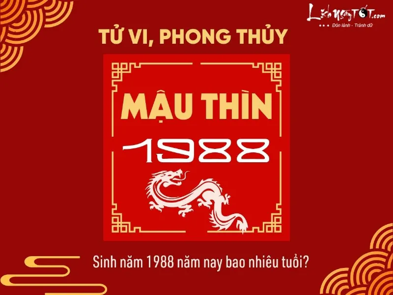 Sinh năm 1988 nam nay bao nhieu tuoi?