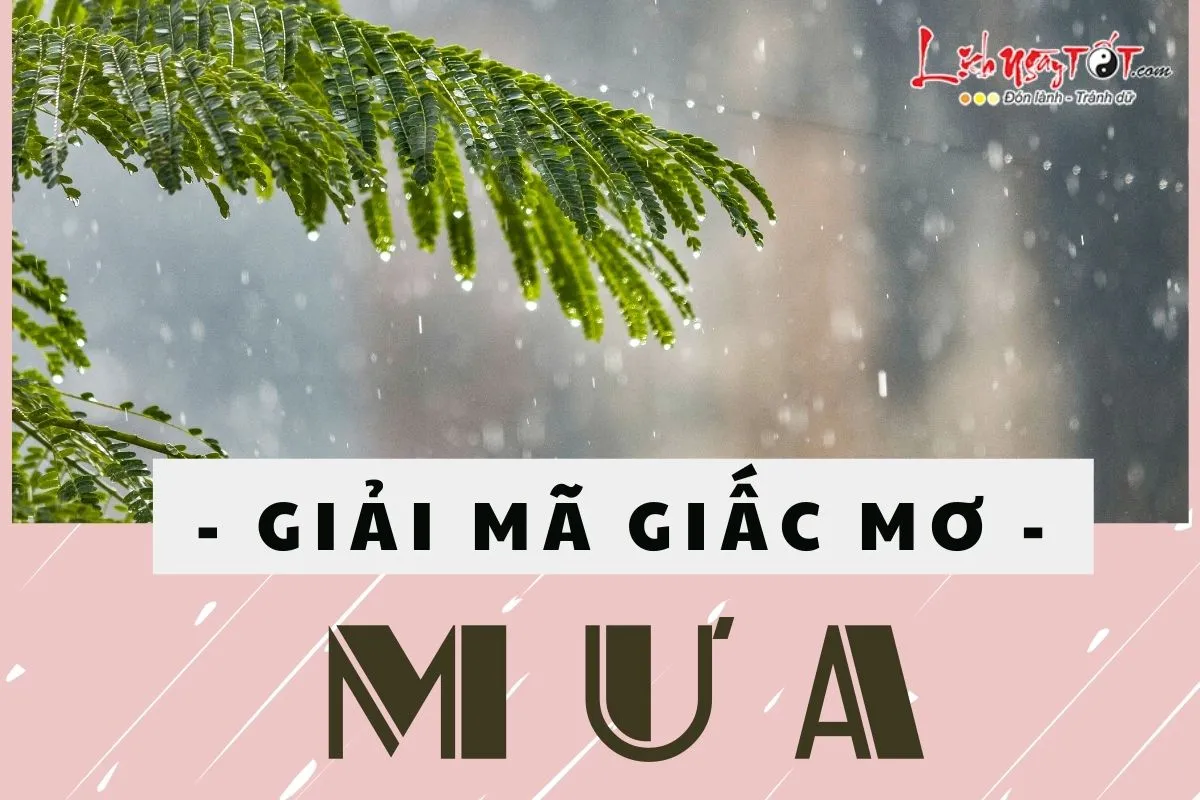 Giải mã giấc mơ thấy mưa
