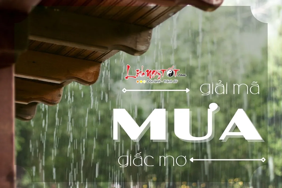 mo thay mua 1