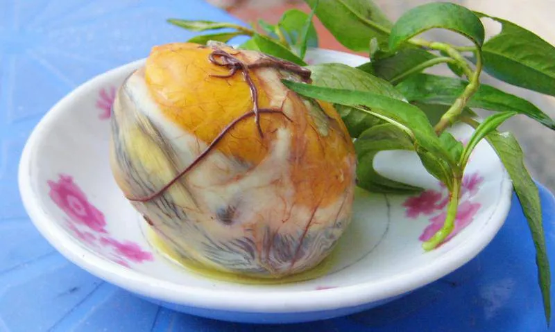 Alt: Hình ảnh món trứng vịt lộn