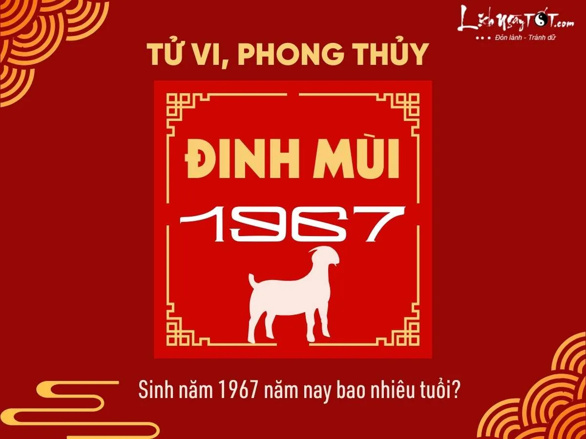 sinh nam 1967 nam nay bao nhieu tuoi 1