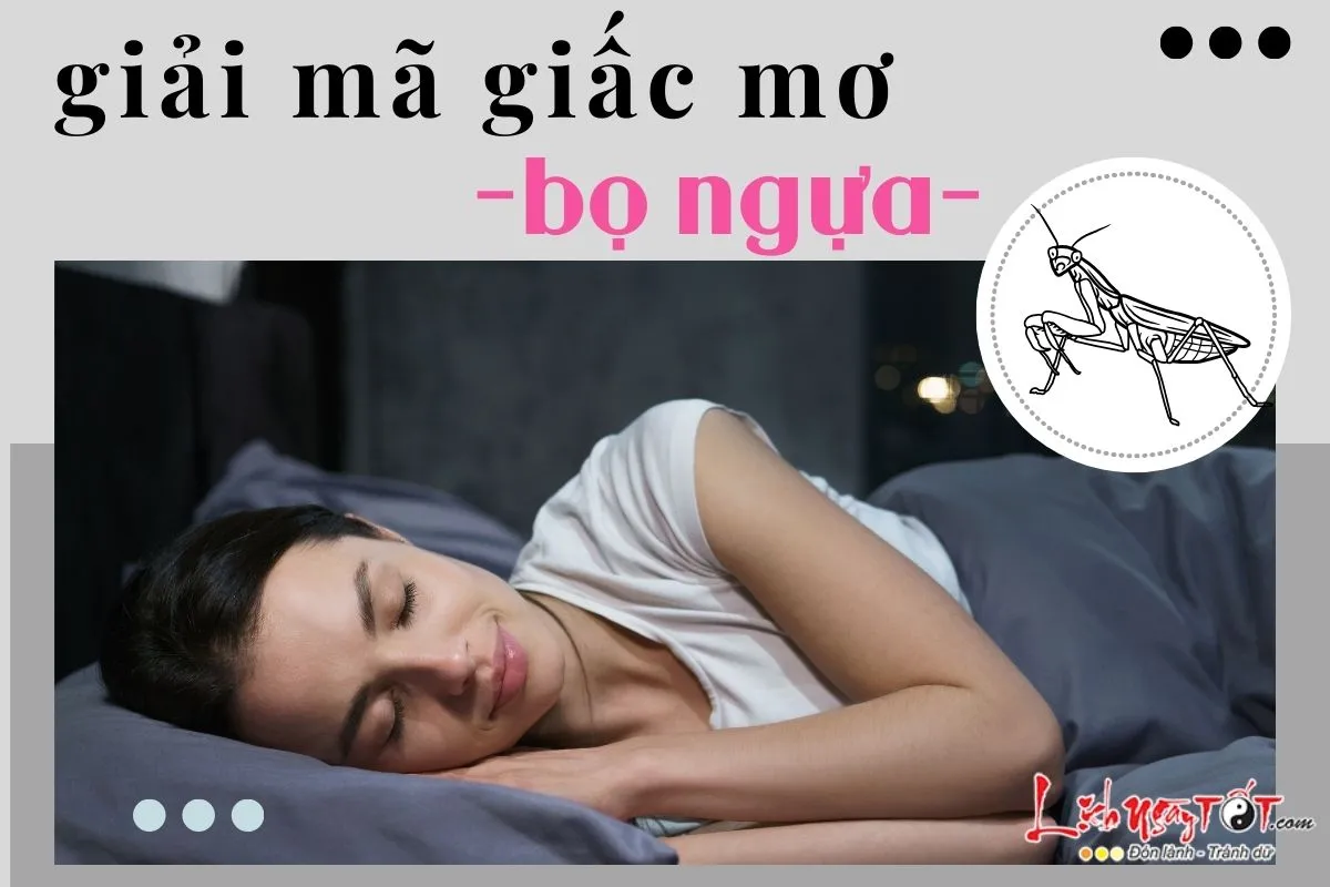 Giấc mơ thấy bọ ngựa