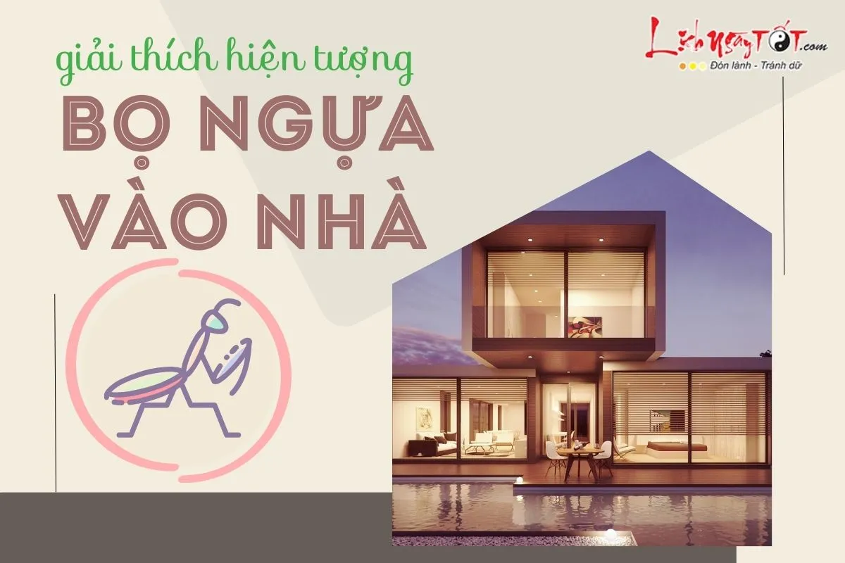 Giải thích hiện tượng bọ ngựa vào nhà