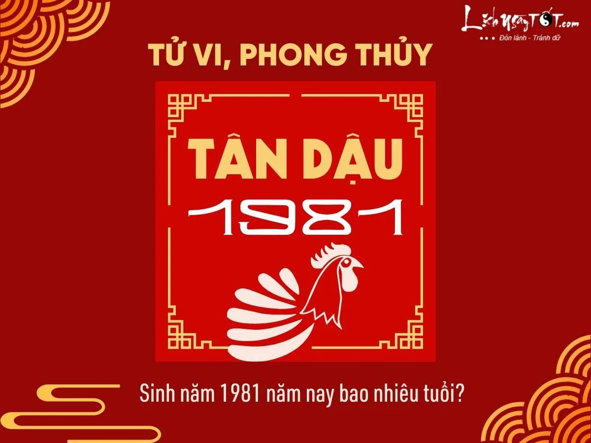 Sinh năm 1981 năm nay bao nhiêu tuổi?