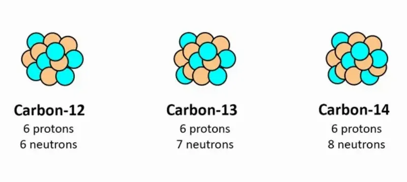 Minh họa đồng vị Carbon-12 và Carbon-14