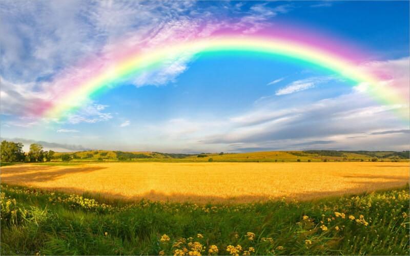 Minh họa hiện tượng tán sắc ánh sáng khi đi qua lăng kính tạo thành dải màu cầu vồng.