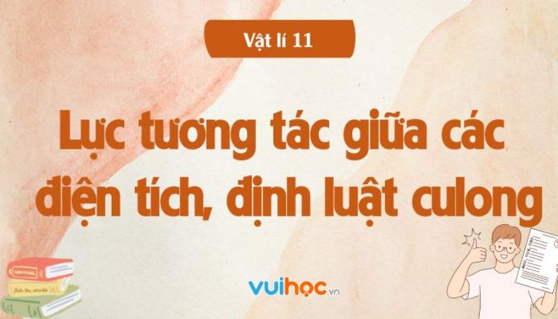 Mo ta tuong tac luc hut va luc day giua cac hat mang dien am va duong