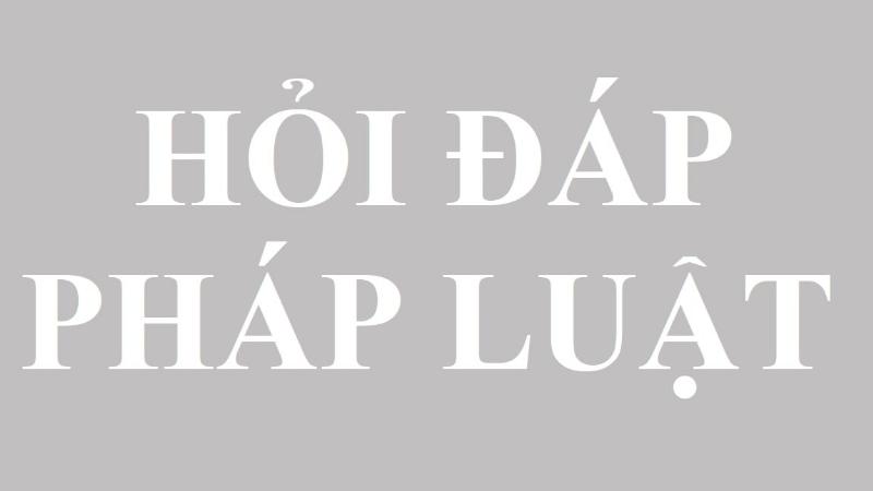 Các loại xe tải có trọng tải thiết kế dưới 3.5 tấn mà bằng D được phép lái